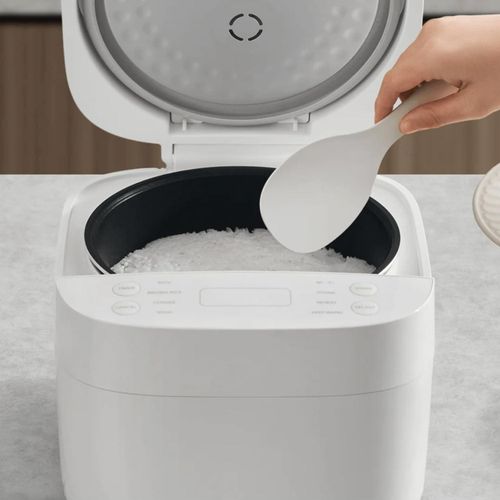 meilleur rapport qualite prix rice cooker 3 ltr