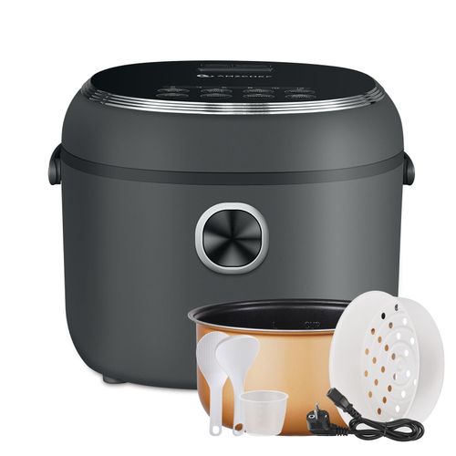 meilleur rapport qualite prix rice cooker multifonction