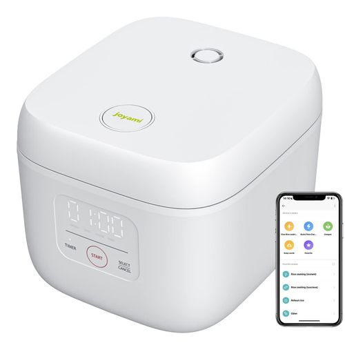 meilleur rapport qualite prix rice cooker